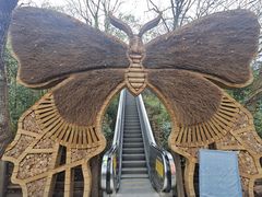 -天目湖山水园