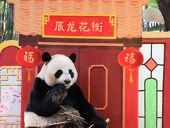 -黔三一夺夺粉酸汤火锅(百信店)