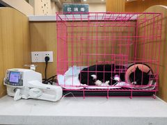 -联合动物医院(光谷诊疗中心)