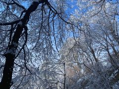 -终南山南五台景区
