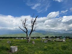 -新疆那拉提国家旅游度假区