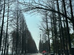 -宁波九龙湖开元度假村