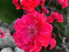 -唐城墙遗址公园