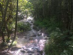 -汤旺河林海奇石景区