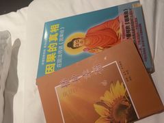 -素心素食(翠苑店)