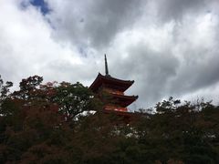 -% Arabica(京都东山店)