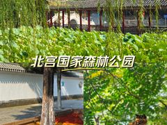 -北宫国家森林公园