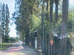 -前小桔亲子创意农场·草莓采摘·露营烧烤