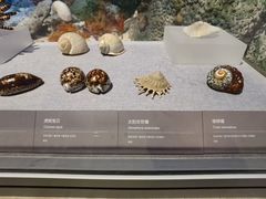 -中国（海南）南海博物馆