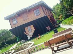 -金山农民画村-枫泾波兰倒置屋