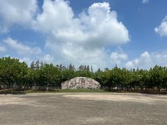 -上海海湾国家森林公园