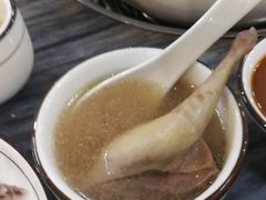 五指毛桃药膳鸽-鸽鸟轩(石岐店)