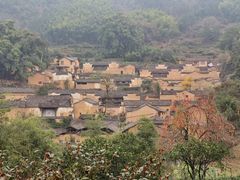 -杨家堂村