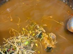 -真情鲍鱼海鲜汤