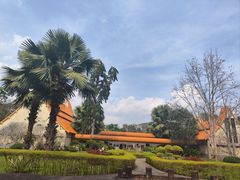 -中国科学院西双版纳热带植物园