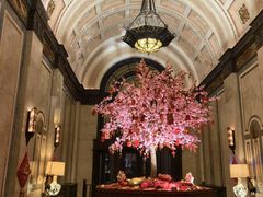 -上海和平饭店华懋阁 Cathay Room