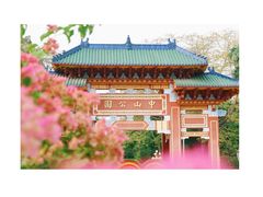 -中山公园