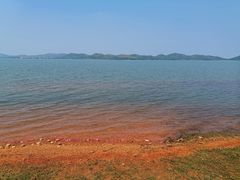 -鄱阳湖国家湿地公园