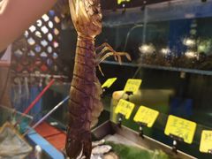 -辉记炭烧海鲜大排档·老字号(福田店)