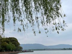 -尚湖风景区