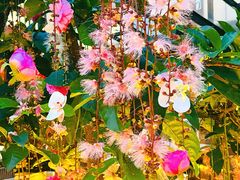 -五合院·整点烤肉