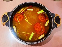牛骨酸辣锅-诗爷牛尾汤(大坪英利店)