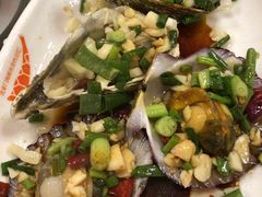 生蚝扇贝-沈家门海鲜夜排档(东港店)