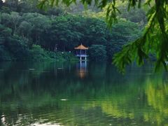 -深圳仙湖植物园