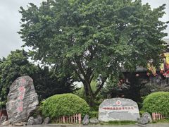 -泸州老窖景区