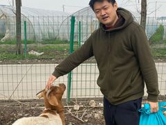 -喜杨洋草莓采摘园