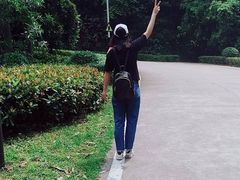 -神光山国家森林公园