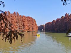 -上海海湾国家森林公园