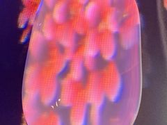 -三号码头罗氏虾小馆