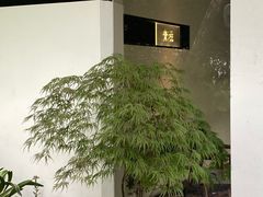 -青桃餐厅