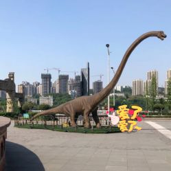 -恐龙探索乐园(磁器口店)