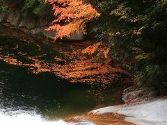 -秦岭风景区