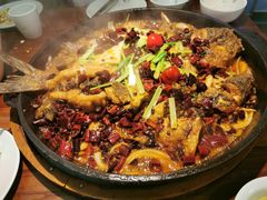 -老板恋上鱼(振华商厦店)