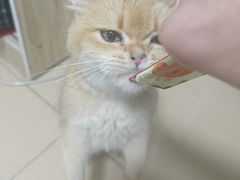 -博特宠物医院24h犬猫全科.骨科·异宠