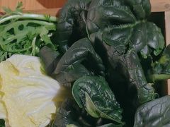 -巴奴毛肚火锅(广益哥伦布店)