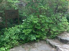 -双龙峡