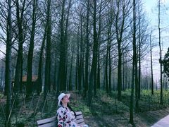 -上海长兴岛郊野公园