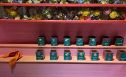 -幻贝家儿童乐园(武汉永旺梦乐城店)