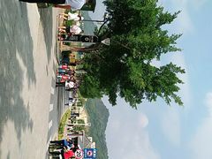 -风云岭森林公园