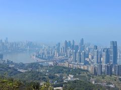-南山植物园