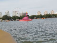 -天津水上公园