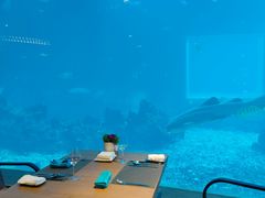 -涛·海底餐厅·美人鱼·自助餐·海底隧道(三亚海棠湾洲际度假酒店)