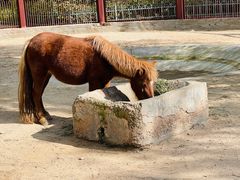 -鄂尔多斯野生动物园