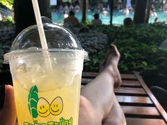-100蛋泥浆浴