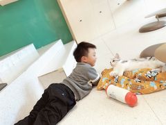 -飞行喵MR PILOT|猫舍·猫咖(静安大融城店)