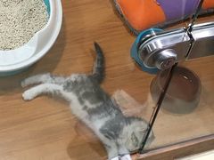 -龟与熊猫宠物公园(南坪店)